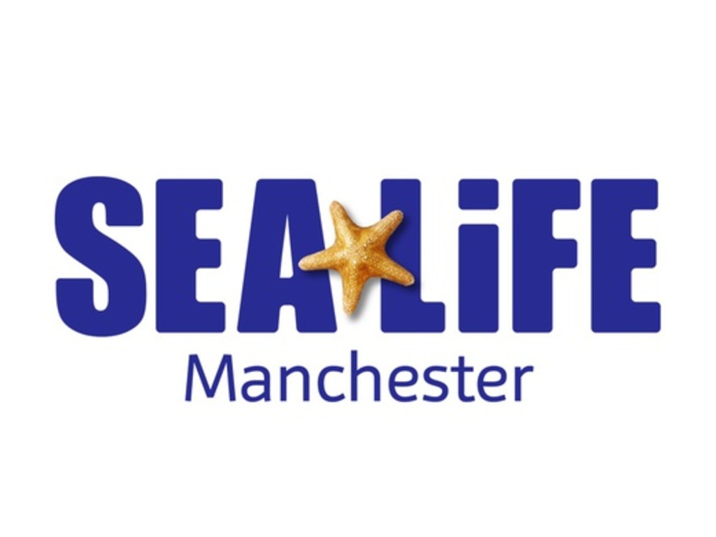 Sea Life Manchester Anytime Entry at Legoland Discovery Centre, Manchester