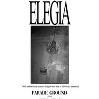 Elegia V with Parade Ground (live) at The White Hotel