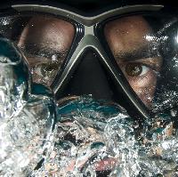curious directive: Frogman