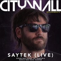 City Wall x Saytek