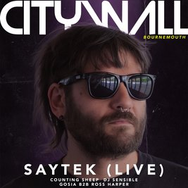 City Wall x Saytek