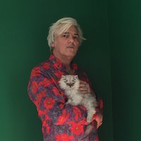 Robyn Hitchcock