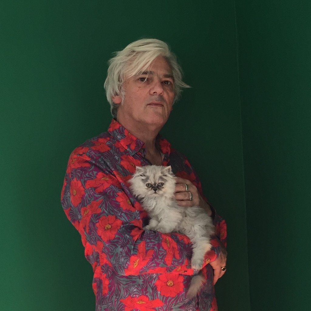 Robyn Hitchcock
