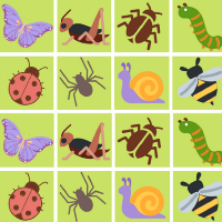 Brilliant Bugs - Afternoon Session