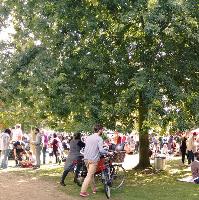 Milton Country Park Autumn Festival