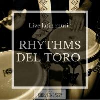 Rhythms Del Toro Duo