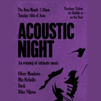 Acoustic Night | Intimate Music at The Bees Mouth