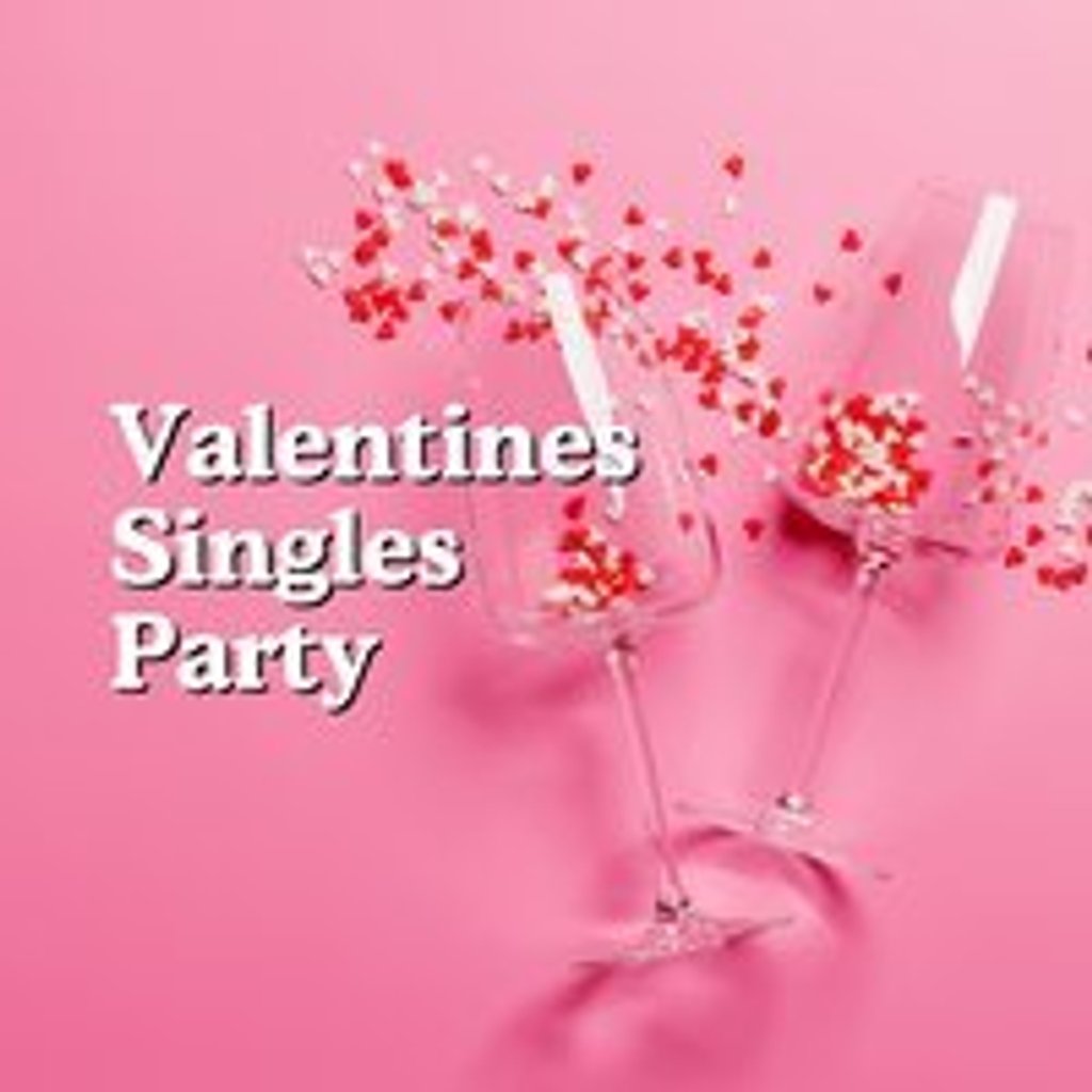 Valentine's Party with Love at First Sign
