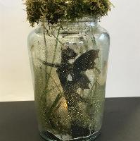 Fairy Jars