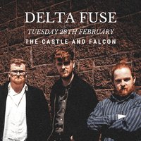 Delta Fuse at The Castle And Falcon
