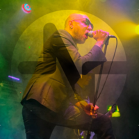 Carpe Noctum: 1919, 13th Chime, and Jackals at The Lending Room