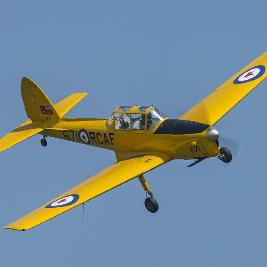 A Scurry of Chipmunks Evening Drive-In Air Show