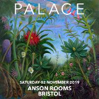Palace + Special Guests at Anson Rooms University Of Bristol Students Union