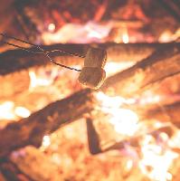Halloween - Marshmallows, pumpkin carving and storytelling