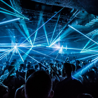 Fabric Sundays: Rave Rabbit at Fabric