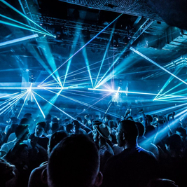 Fabric Sundays: Rave Rabbit