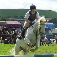 Wanborough Spring Horse & Dog Show