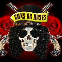 Guns or Roses - GnR Tribute