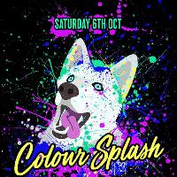 Colour Splash at Antwerp Mansion
