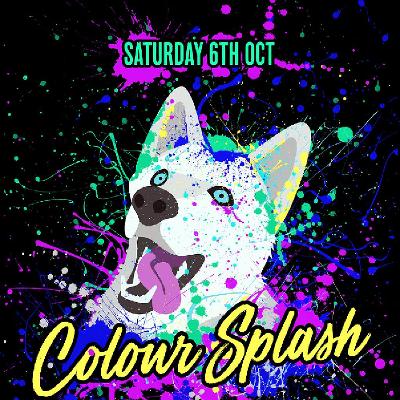 colour splash tickets antwerp