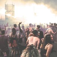 Hifields 2019 Hifields 2019