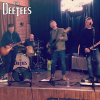 The Dee Tees at Horden Comrades Social Club