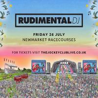 Rudimental DJ Set at Newmarket Racecourses