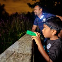 Junior Bat Walks at WWT London Wetland Centre