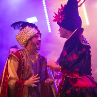 Aladdin Pantomime 3:30pm Show at Rainton Arena
