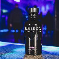 The BULLDOG Gin Stage The BULLDOG Gin Stage