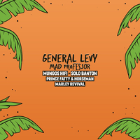 The Cardiff Reggae Festival - 14th August - Huge Lineup! at VSA Warehouse