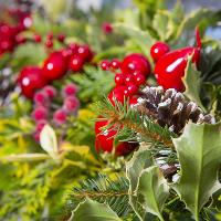 Workshop: Wreath Making at The Swiss Garden