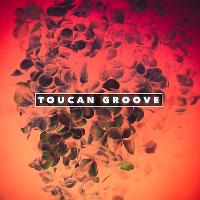 Toucan Groove