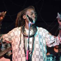 Bakk Lamp Fall at The Verdict, Brighton at The Verdict (Cafe And Jazz Club)