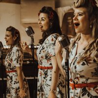 Saturday Night is Music Night with Fox, Wiggle & Sass at Wethersfield Village Hall