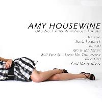 Amy Housewine