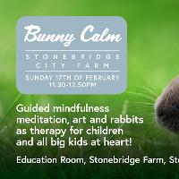 Bunny Calm