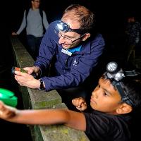 Bat Walk