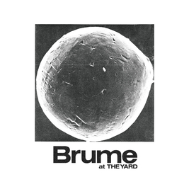 Brume