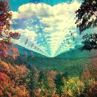Remake Remodel Tame Impala Night