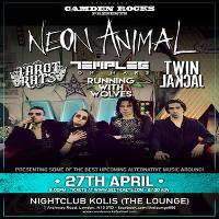 Neon Animal and more