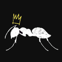 Ants NYE
