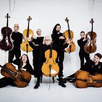 Massive Violins Summer Concert