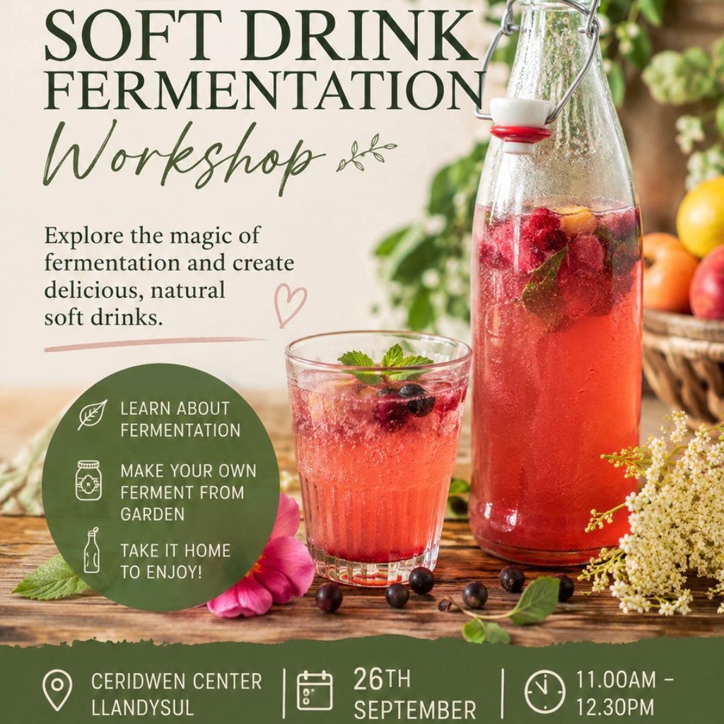 Soft Drink fermentation: from Garden to Glass