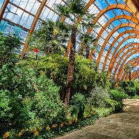 Sheffield Photographic Society - Perspectives 15 Exhibition at Sheffield Winter Garden