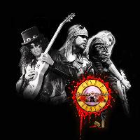 Guns to Roses Unplugged