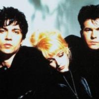 The Primitives at The Ferret