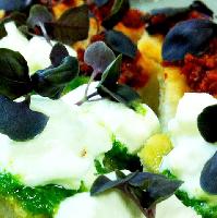 The Secret Restaurant - Festive Pop-up Restaurant
