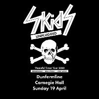 The Skids Unplugged at Carnegie Hall