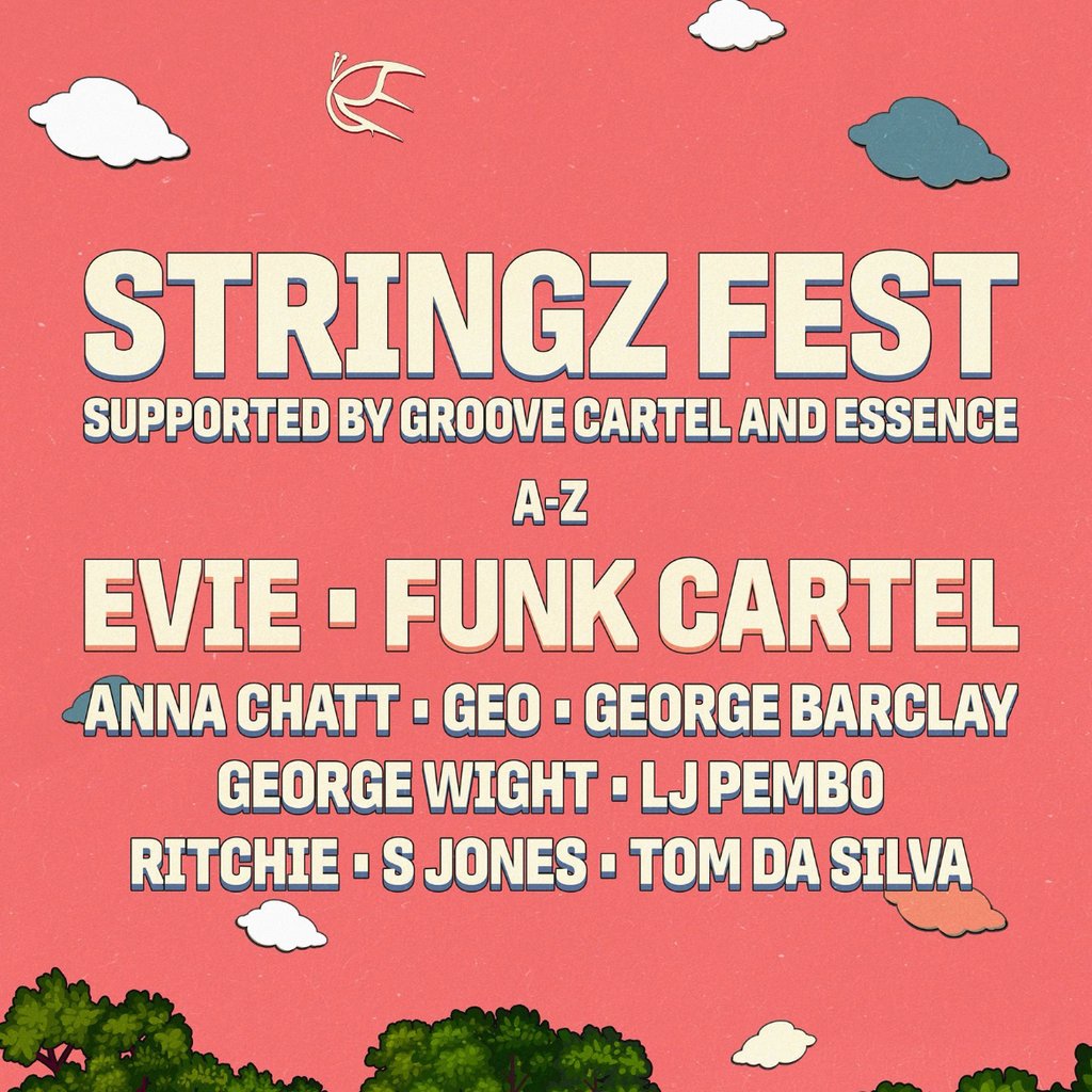 Stringz Fest, 26 July | Event in Chelmsford | AllEvents
